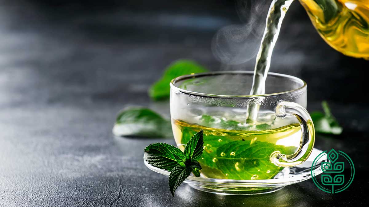 درمان عفونت بدن با دمنوش چای سبز